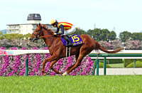 Oka Sho (Japanese 1000 Guineas) (G1)