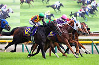 Yushun Himba (Japanese Oaks) (G1)