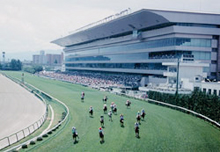 Fukushima Racecourse