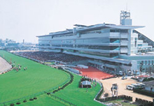 Hanshin Racecourse
