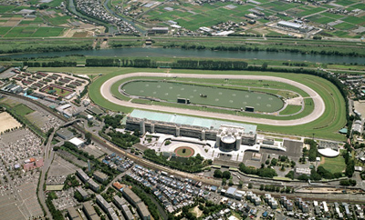 Kyoto Racecourse - Racecourses (JRA) - Go Racing - Horse Racing In Japan