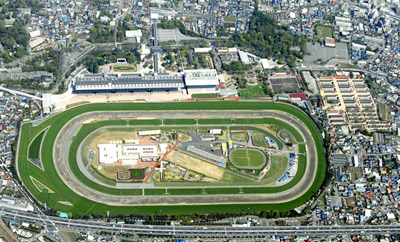 Tokyo Racecourse