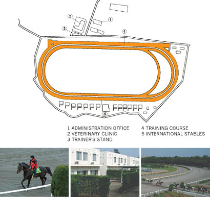 Shiroi Horseracing School