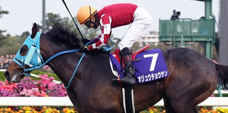 Nakayama Ground Jump