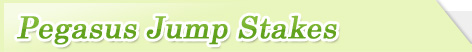 Prgasus Jump Stakes