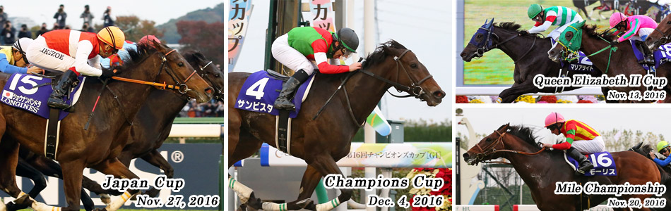 Japan Autumn International