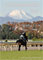 2012 JRA Graded Races Guidebook