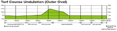 Turf Course Undulation