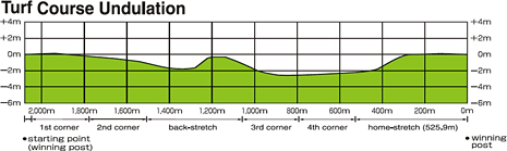 Turf Course Undulation