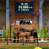 Japan Racing Horse Association