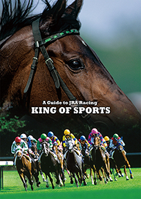 King of Sports (A Guide to JRA)