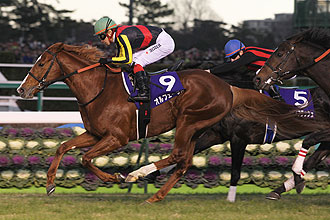 Orfevre (JPN)