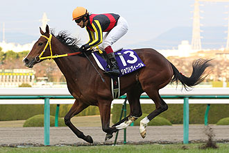 Joie de Vivre (JPN)