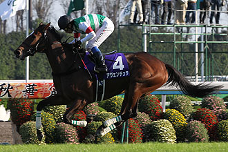 Aventura (JPN)