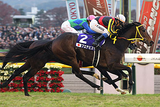 Buena Vista (JPN)
