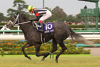 Curren Chan (JPN)