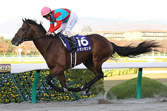 Transcend (JPN)