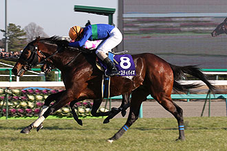 Majesty Bio (JPN)