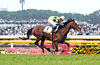 Tokyo Yushun (Japanese Derby)