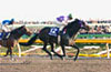 February Stakes (G1)