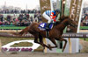 February Stakes (G1)