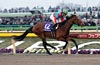 February Stakes (G1)