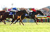 Japan Cup (G1) (International Invitational)