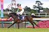 Nakayama Grand Jump (International Invitational) (J-G1)