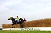 Nakayama Grand Jump (International Invitational) (J-G1)