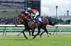Nakayama Grand Jump (International Invitational) (J-G1)