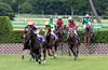 Nakayama Grand Jump (International Invitational) (J-G1)