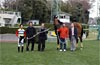 Pegasus Jump Stakes