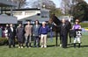 Pegasus Jump Stakes