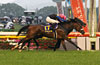 Yushun Himba (Japanese Oaks)