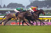 Yushun Himba (Japanese Oaks) (G1)