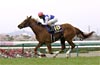 Oka Sho (Japanese 1000 Guineas)