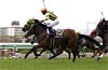 Oka Sho (Japanese 1000 Guineas)