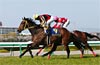 Oka Sho (Japanese 1000 Guineas)