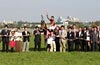 Oka Sho (Japanese 1000 Guineas)