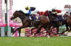 Oka Sho (Japanese 1000 Guineas) (G1)
