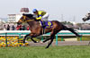 Oka Sho (Japanese 1000 Guineas) (G1)
