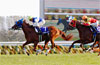 Queen Elizabeth II Commemorative Cup (G1)
