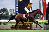 Centaur Stakes (G2)