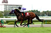 Centaur Stakes (G2)