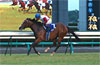 Sprinters Stakes (G1)
