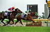 Takamatsunomiya Kinen (G1)
