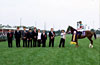 Takamatsunomiya Kinen (G1)