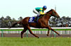 Takamatsunomiya Kinen (G1)