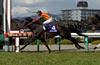 Takamatsunomiya Kinen (G1)