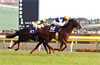 Tenno Sho (Autumn) (G1)
